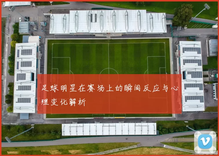 足球明星在赛场上的瞬间反应与心理变化解析
