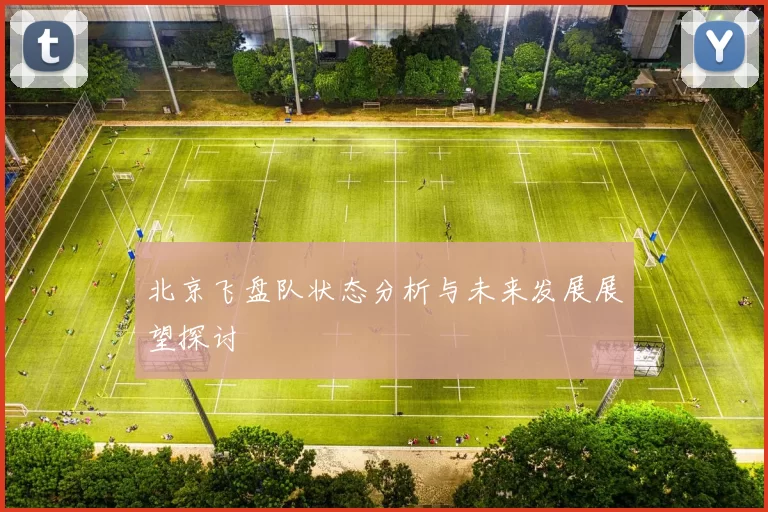 北京飞盘队状态分析与未来发展展望探讨