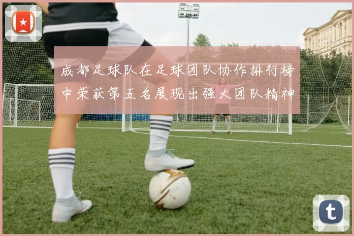 成都足球队在足球团队协作排行榜中荣获第五名展现出强大团队精神与实力
