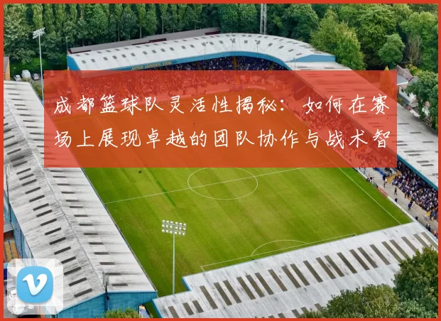 成都篮球队灵活性揭秘：如何在赛场上展现卓越的团队协作与战术智慧