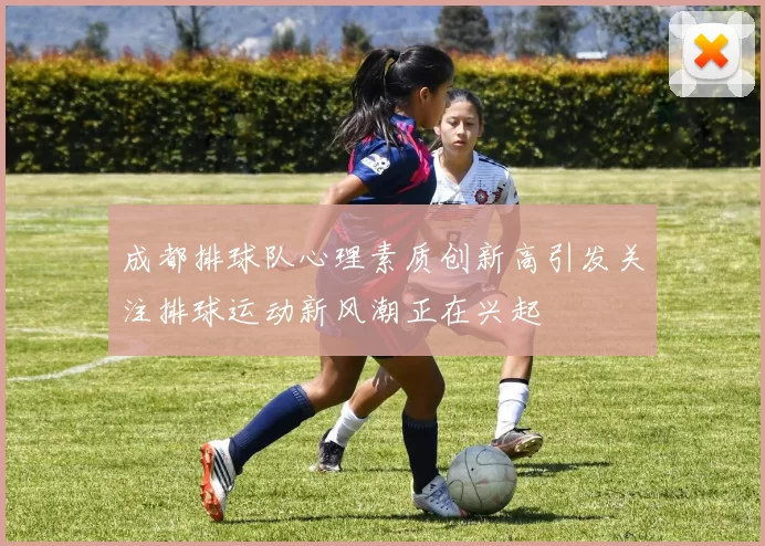 成都排球队心理素质创新高引发关注排球运动新风潮正在兴起