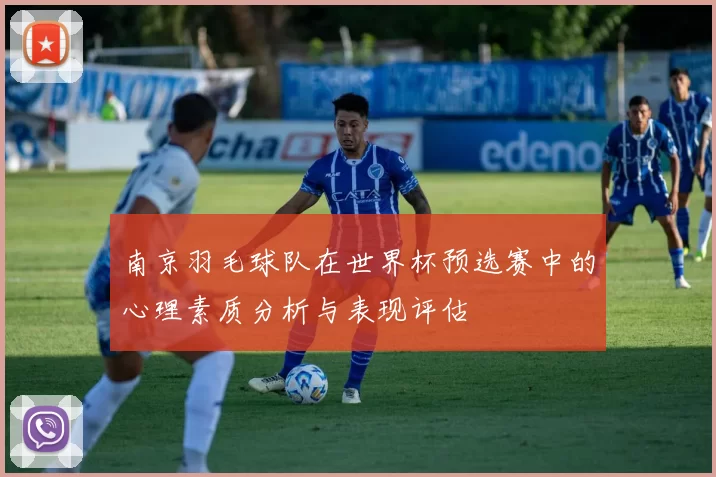 南京羽毛球队在世界杯预选赛中的心理素质分析与表现评估