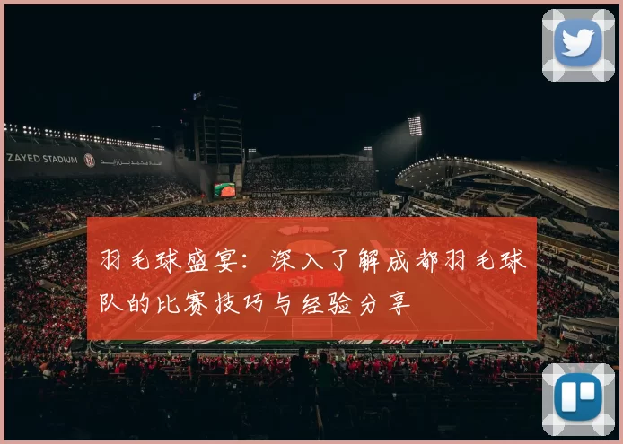 羽毛球盛宴：深入了解成都羽毛球队的比赛技巧与经验分享
