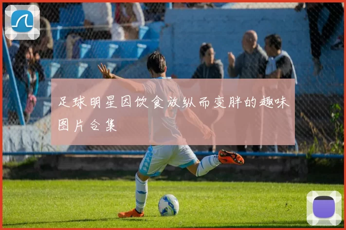 足球明星因饮食放纵而变胖的趣味图片合集