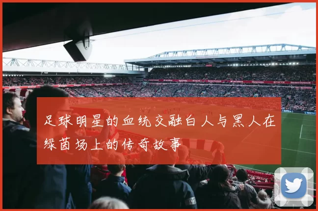 足球明星的血统交融白人与黑人在绿茵场上的传奇故事