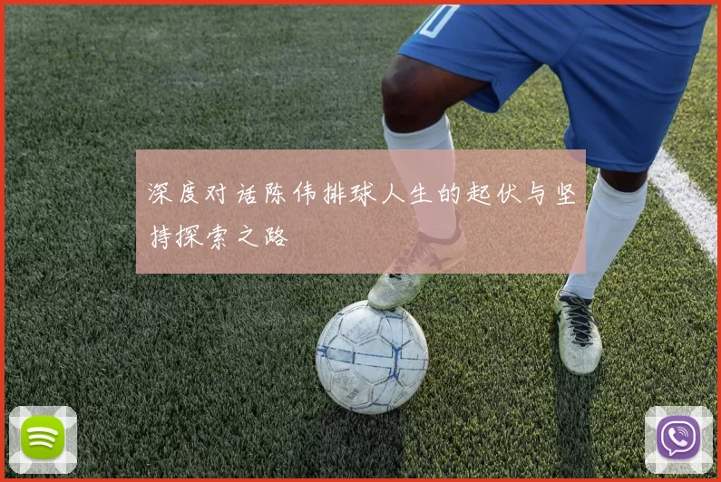 深度对话陈伟排球人生的起伏与坚持探索之路