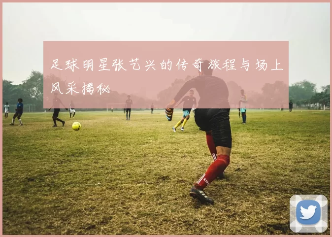 足球明星张艺兴的传奇旅程与场上风采揭秘