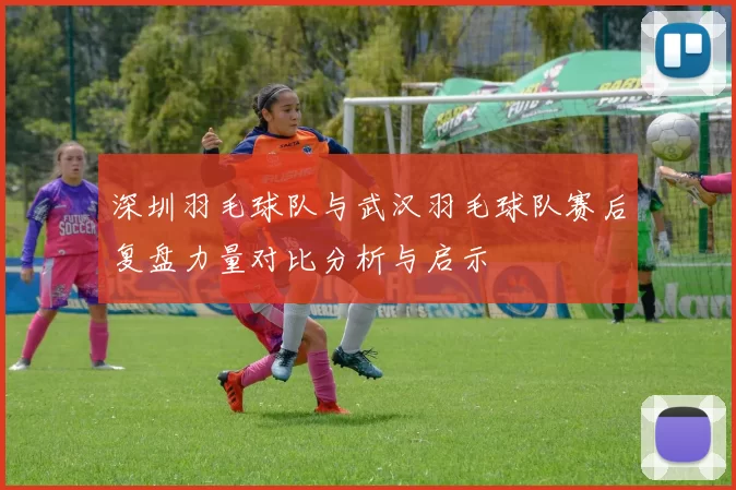 深圳羽毛球队与武汉羽毛球队赛后复盘力量对比分析与启示