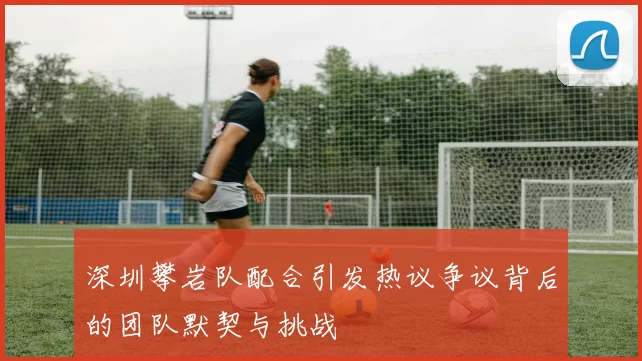 深圳攀岩队配合引发热议争议背后的团队默契与挑战