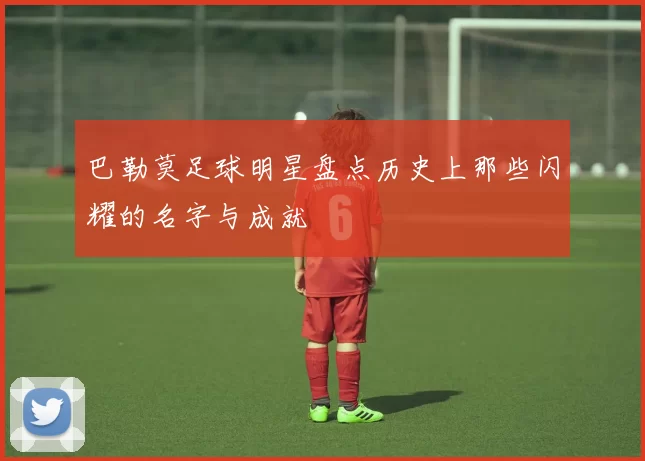 巴勒莫足球明星盘点历史上那些闪耀的名字与成就
