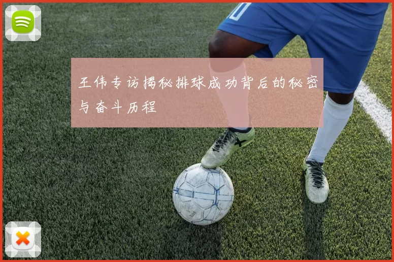 王伟专访揭秘排球成功背后的秘密与奋斗历程