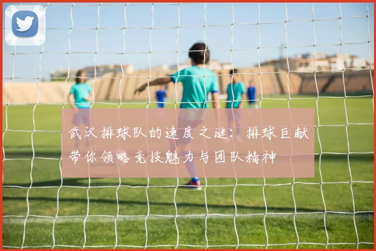 武汉排球队的速度之谜：排球巨献带你领略竞技魅力与团队精神