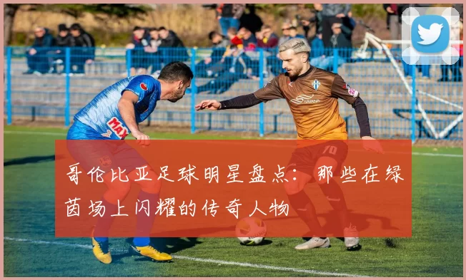 哥伦比亚足球明星盘点：那些在绿茵场上闪耀的传奇人物