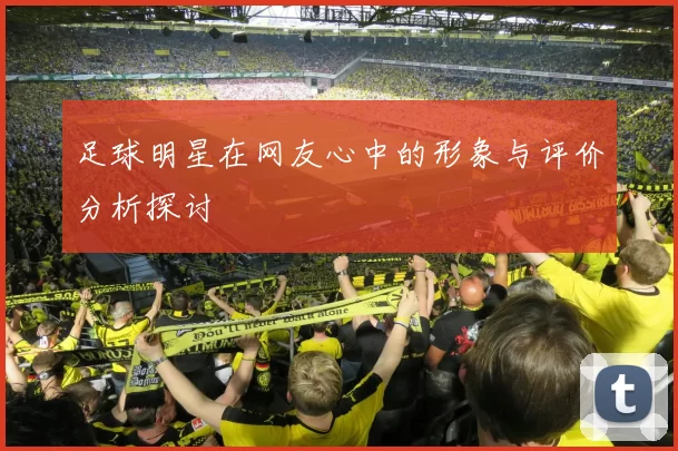 足球明星在网友心中的形象与评价分析探讨
